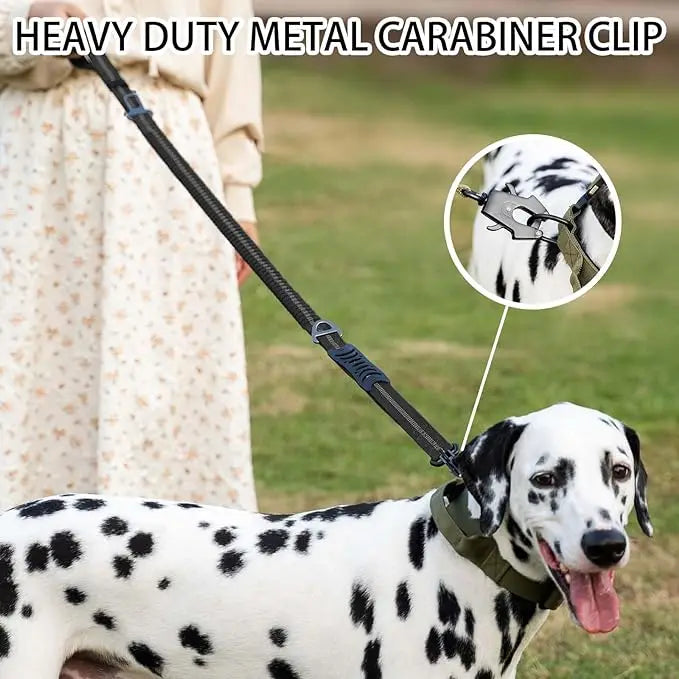 Tactical Bungee Leash