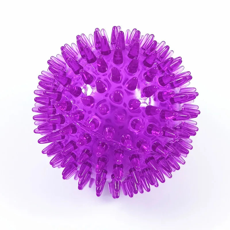 Squeaky Chew Ball - Squeaky Toy for Puppies, Tooth Cleaning, Durable TPR Material, Great for Teething and Training.